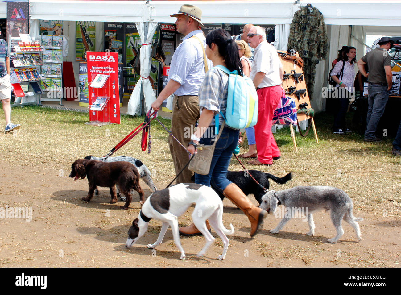 CLA Blenheim Country Fair Woodstock Oxfordhsire Stockfoto