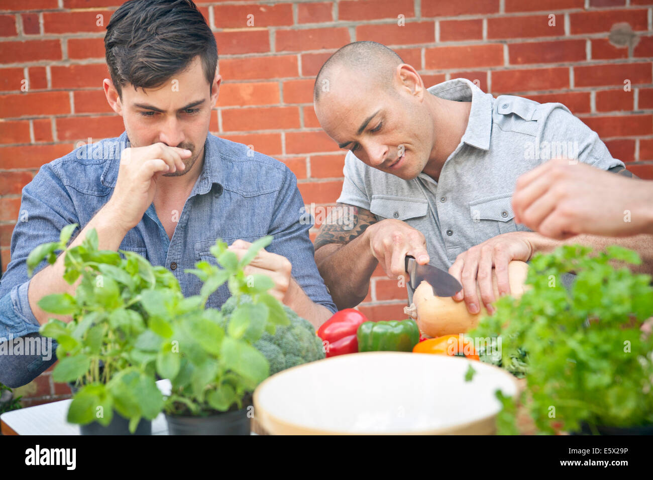 Männliche Freunde, die Zubereitung von Speisen mit Kräutern für Gartengrill Stockfoto