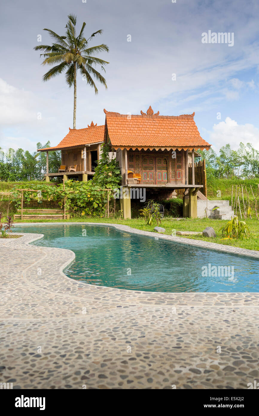 Stelzenläufer Haus Ferienwohnung mit Schwimmbad, Ubud, Bali, Indonesien Stockfoto