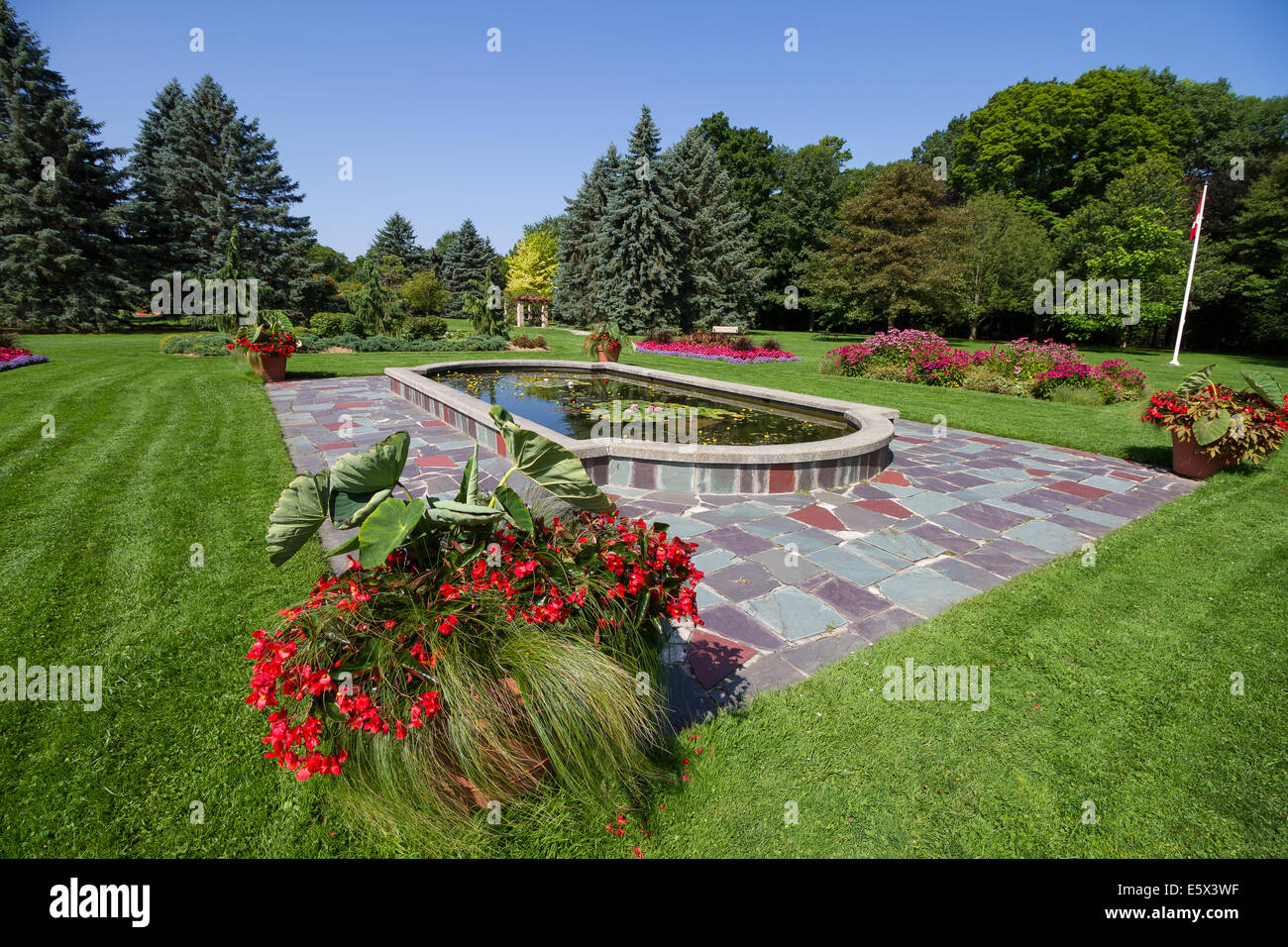 Teich im Stadtgarten widerspiegelt. Stockfoto