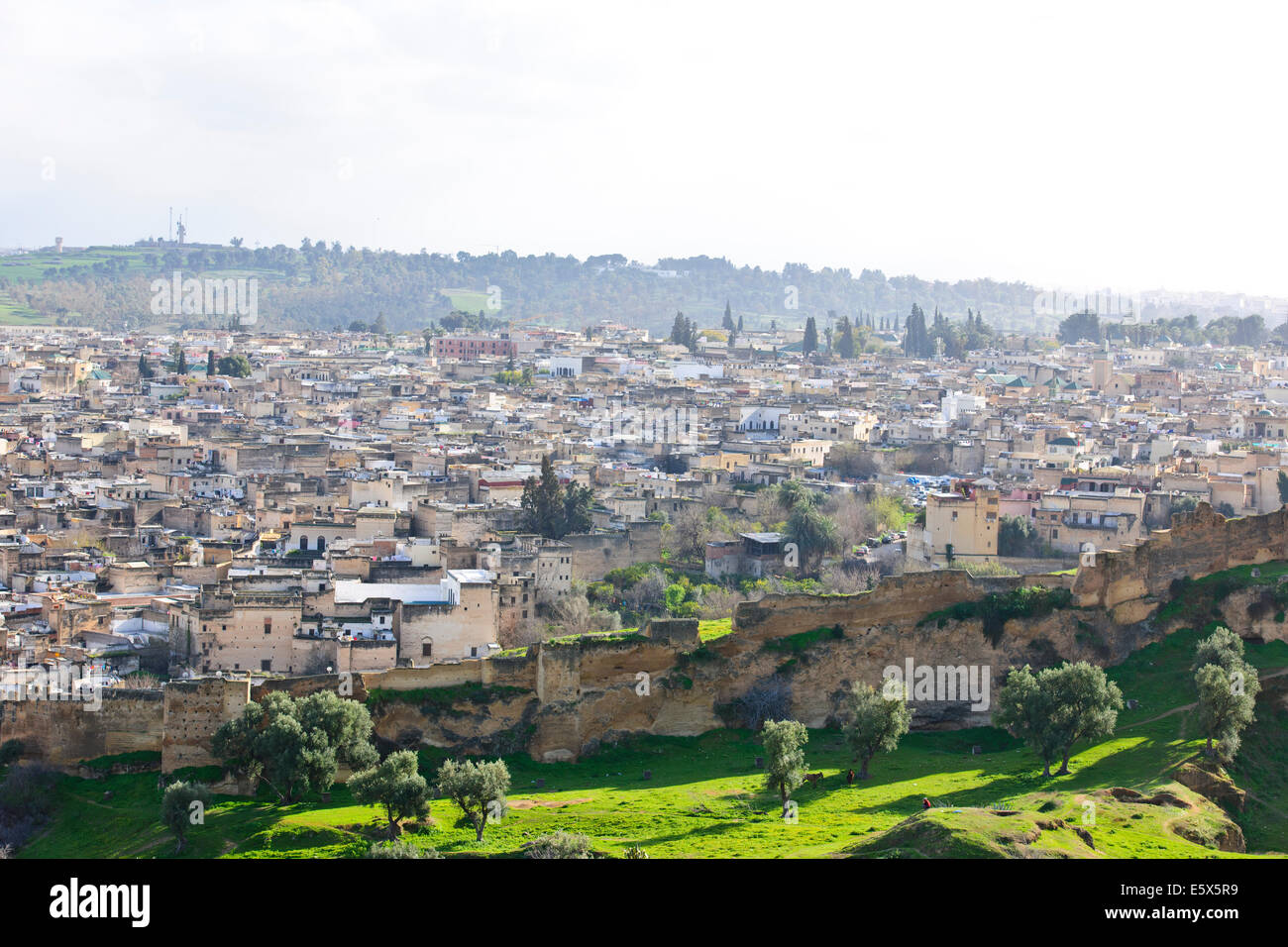 Skyline der Stadt Fez nach Ost und West, Souk, umgebenden Hügeln, Stadtmauern, jüdischer Friedhof, Moscheen, Minarette, ehemalige Hauptstadt, Marokko Stockfoto