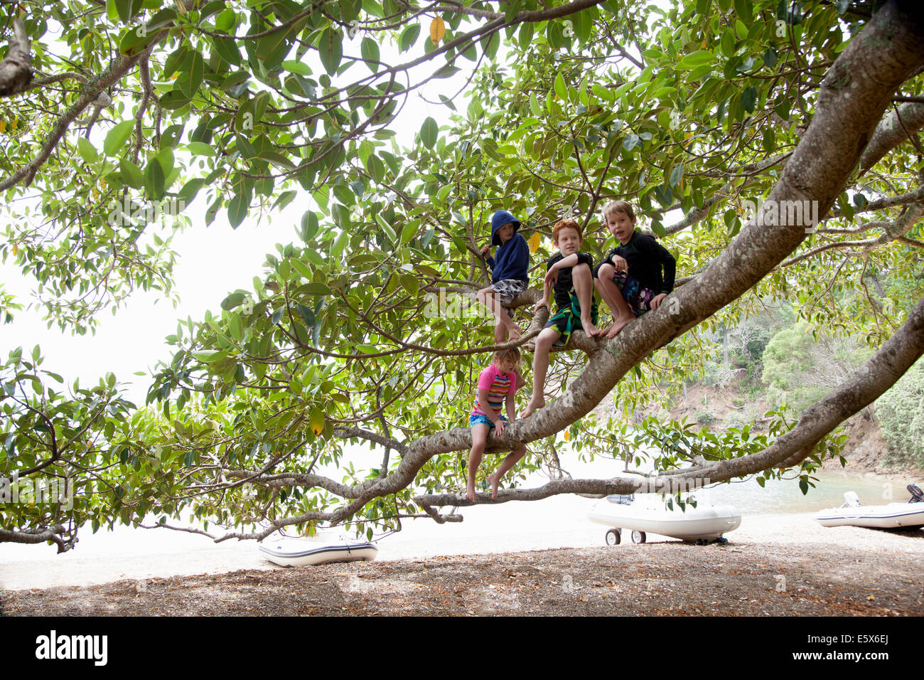 Porträt von Mädchen und drei Brüder, die im Baum am Strand sitzen Stockfoto