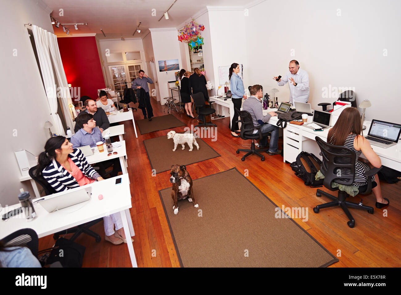 Menschen bei der Arbeit in einem modernen Büro mit Hunden Stockfoto