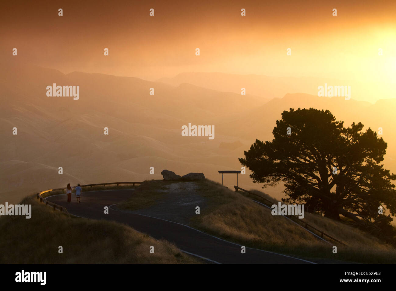 Gebirgspass mit Nebel bei Sonnenuntergang in der Nähe von Hamilton in der Waikato-Region, Nordinsel, Neuseeland. Stockfoto