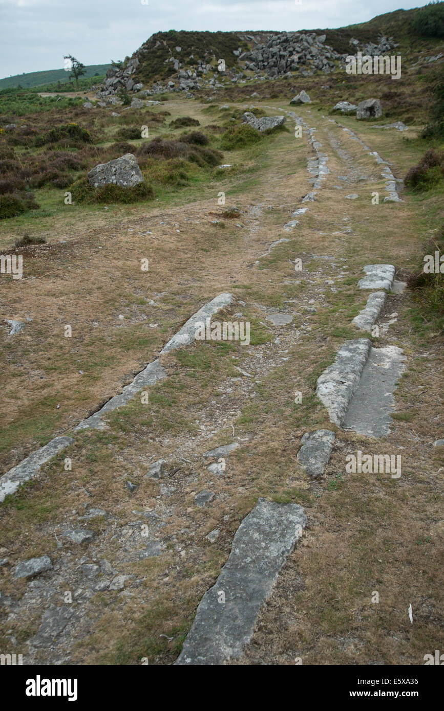 Alte Granit-Eisenbahn, Haytor, Dartmoor, Devon, England. Überreste von Granit tracks Stockfoto