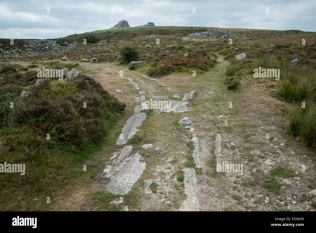 Alte Granit-Eisenbahn, Haytor, Dartmoor, Devon, England. Überreste von Granit tracks Stockfoto