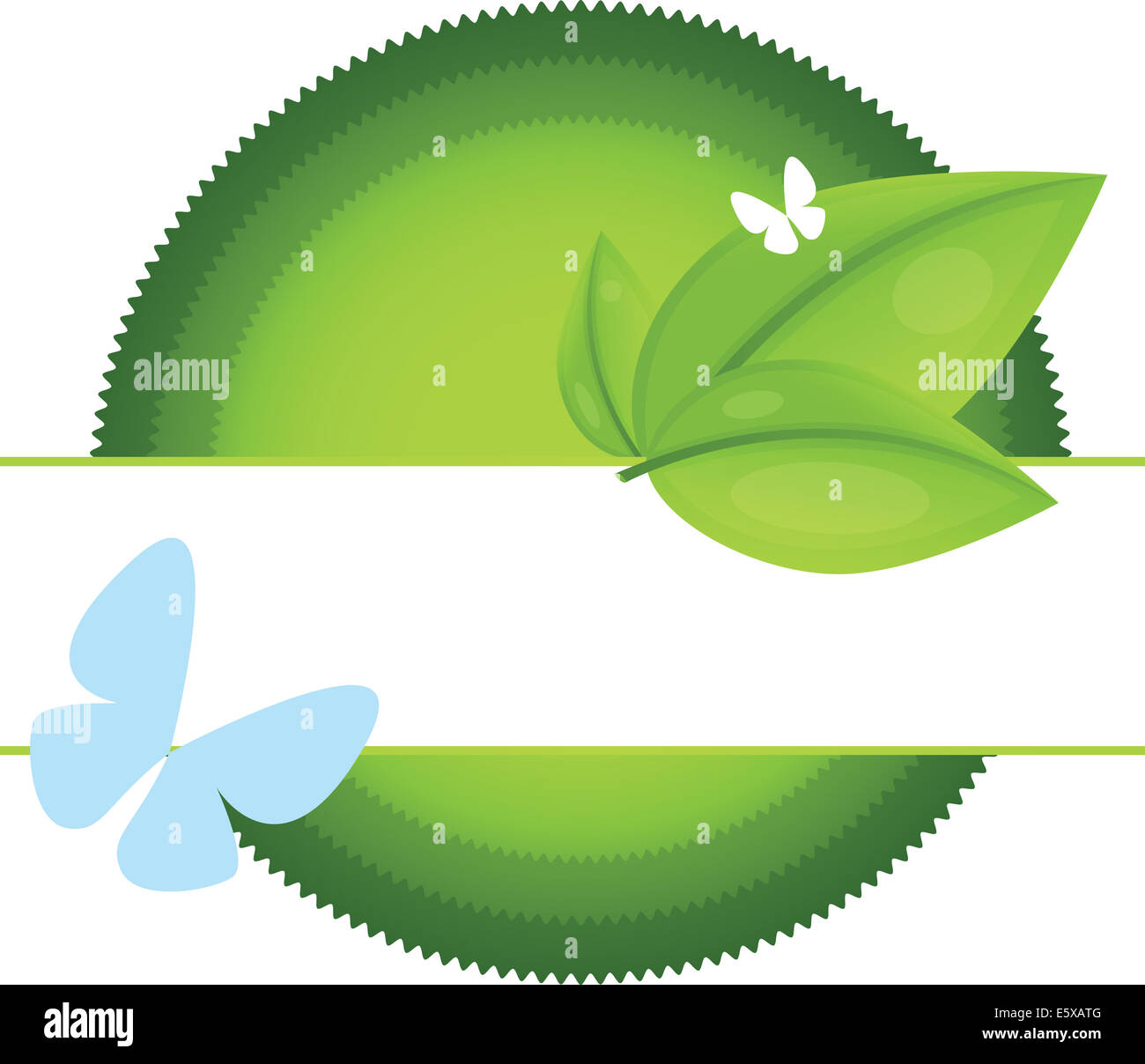 Eco-Label mit Blatt und blaue Schmetterling Stockfoto