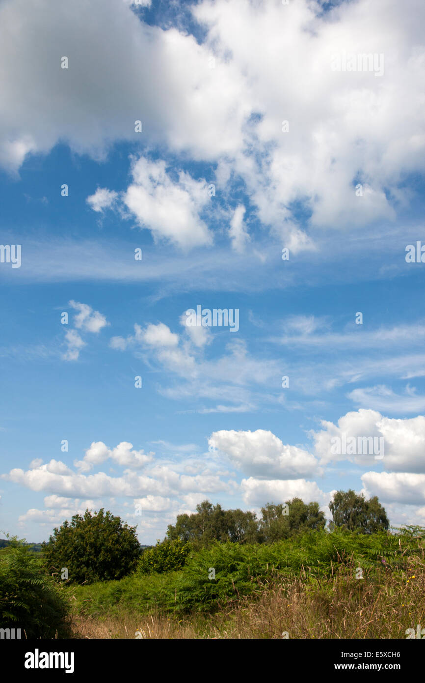 Blauer Himmel über Bromyard Downs Herefordshire UK Stockfoto