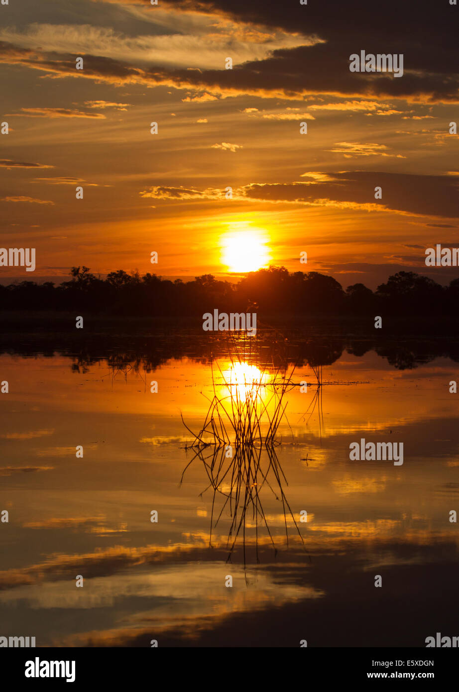 Okavango Delta Sonnenuntergang Stockfoto