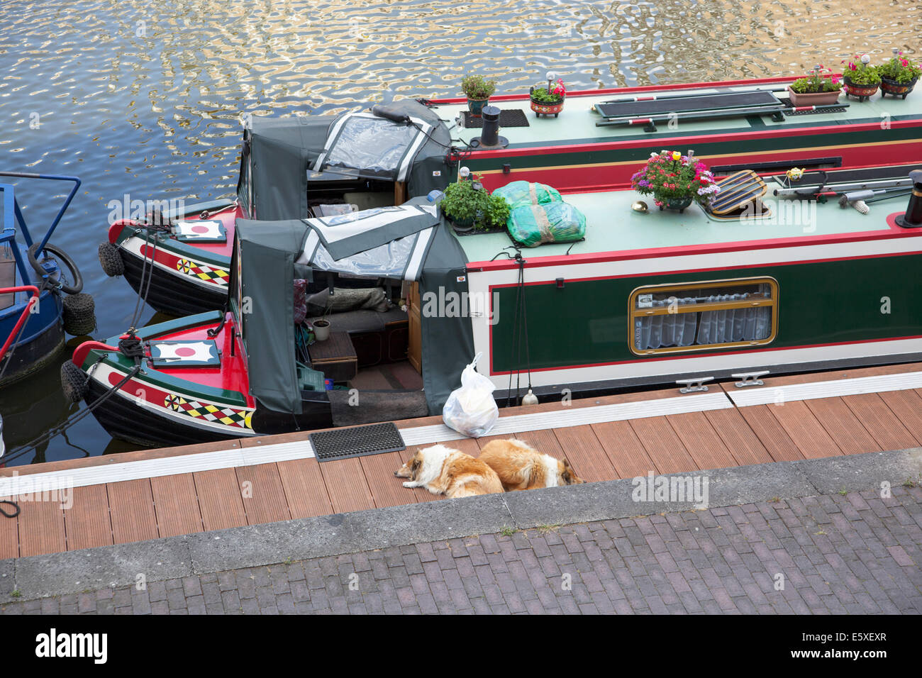 Hausboote in Limehouse Bassin, London, England Stockfoto