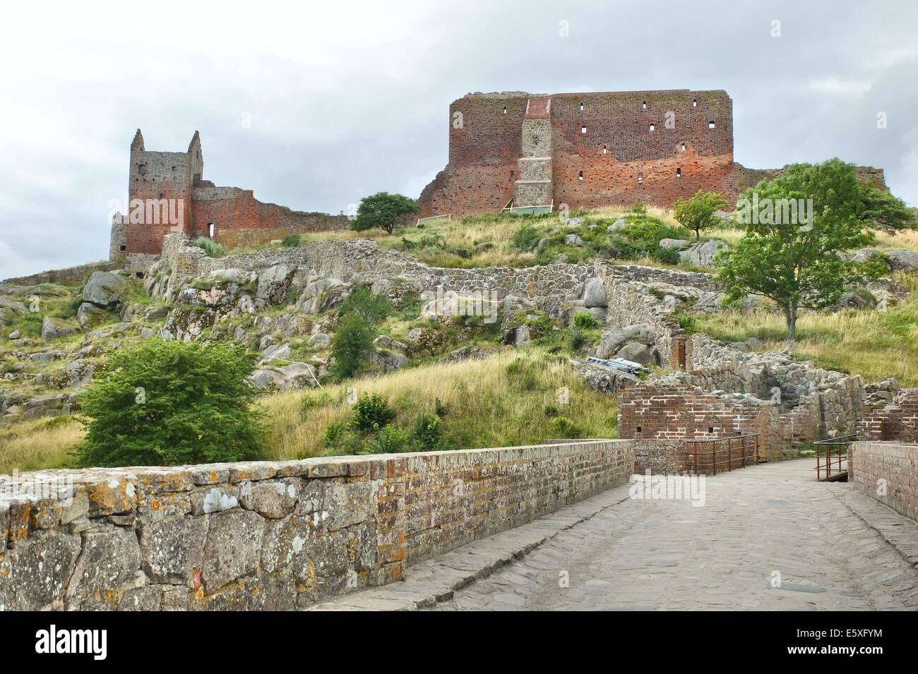 Dänemark, Insel Bornholm Fotos vom 1. bis zum 5. August 2014.  Im Bild: Burg Hammershus Nordeuropas größte mittelalterliche Befestigungsanlage, 74 Meter über dem Meeresspiegel auf Hammeren, der Nordspitze von der dänischen Insel Bornholm in der Ostsee Stockfoto