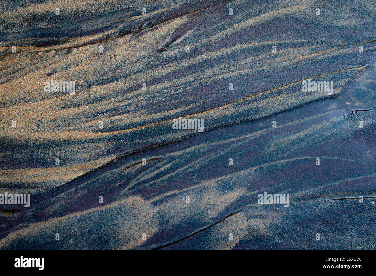 Nahaufnahme von Gold und blau Sand am Strand von Killbear Provincial Park, Ontario, Kanada Stockfoto
