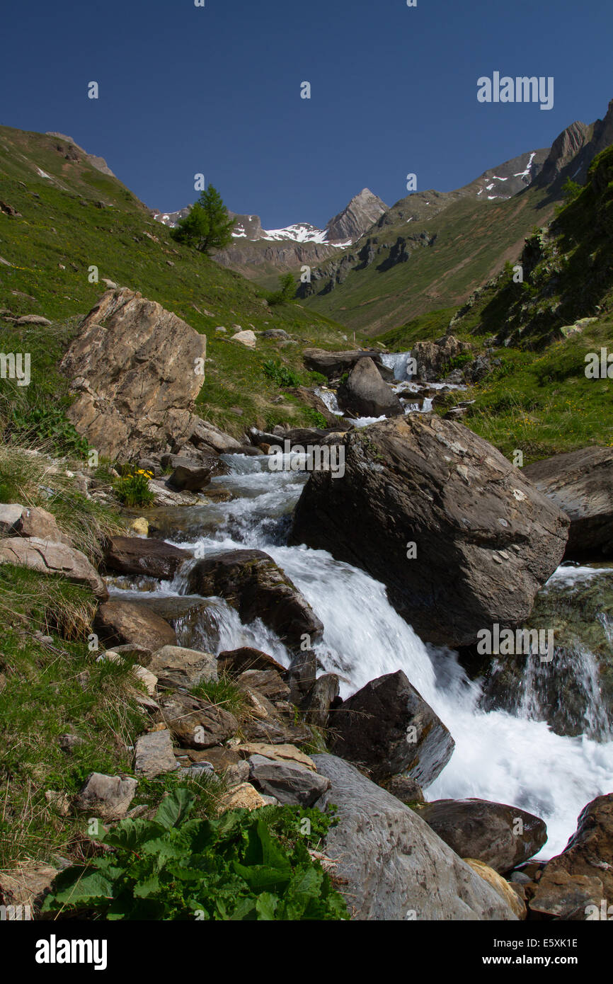 Gebirgsbach in den Schweizer Alpen Stockfoto
