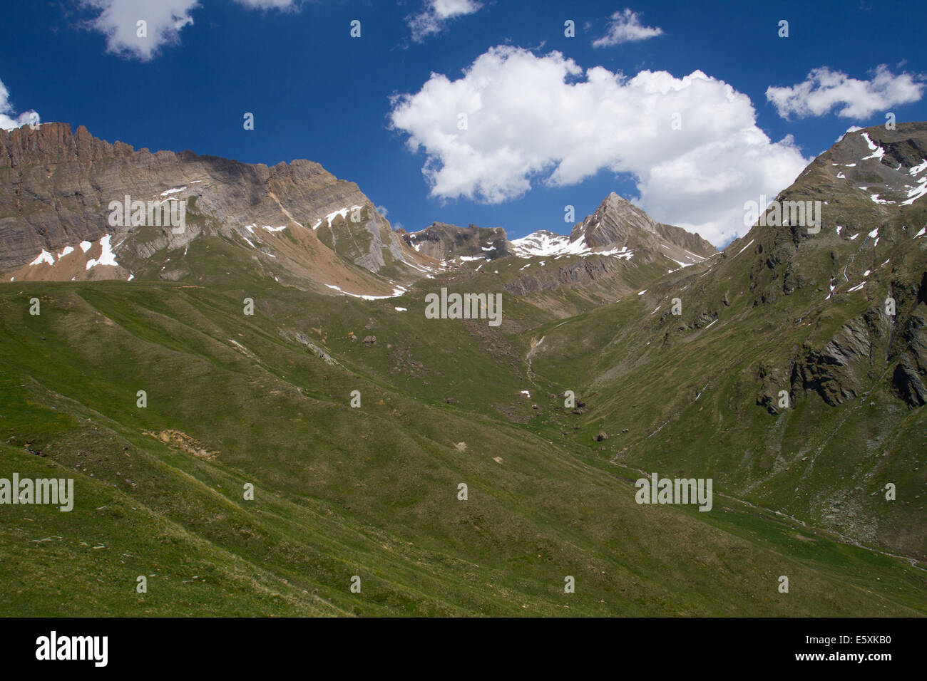 Alpweiden oberhalb der Baumgrenze bei Bachalpe in den Schweizer Alpen Stockfoto