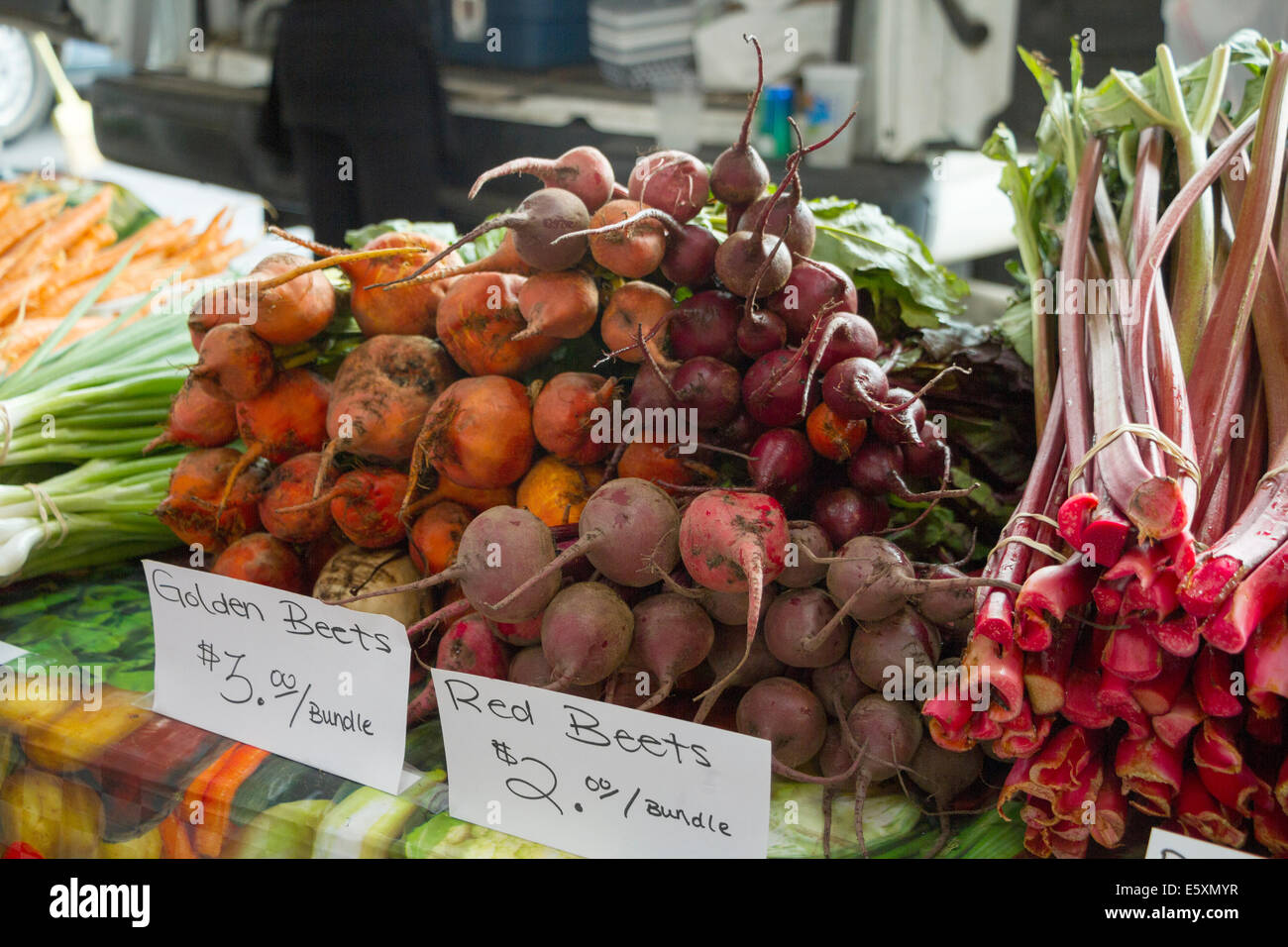 Rote Beete, Bauernmarkt St. Paul, St. Paul, Minnesota, USA. Stockfoto