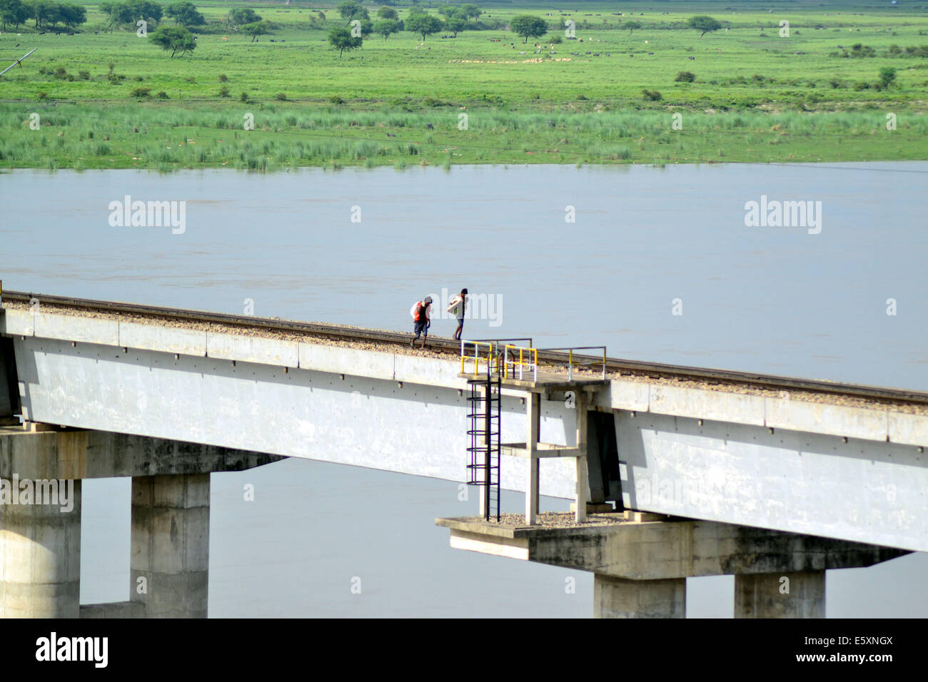 Indische Bagpickers gehen auf Eisenbahn Brücke des Ganges, einige Münzen und andere nützliche Dinge zu finden. Der Wasserstand des Flusses Ganga und Yamuna steigt durch Monsunregen © Ritesh Shukla/Pacific Press/Alamy Live News Stockfoto