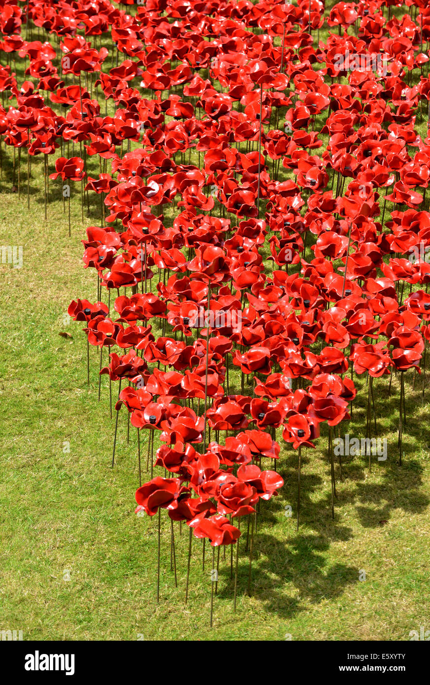 Bloodswept Länder und Meere rot, Tausende von Keramik Mohnblumen Künstlers Paul Cummins in den Tower von London WW1-Denkmal Stockfoto