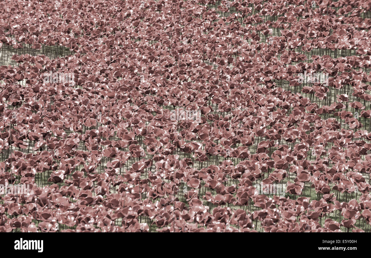 Bloodswept Länder und Meere rot, Tausende von Keramik Mohnblumen Künstlers Paul Cummins in den Tower von London WW1-Denkmal Stockfoto