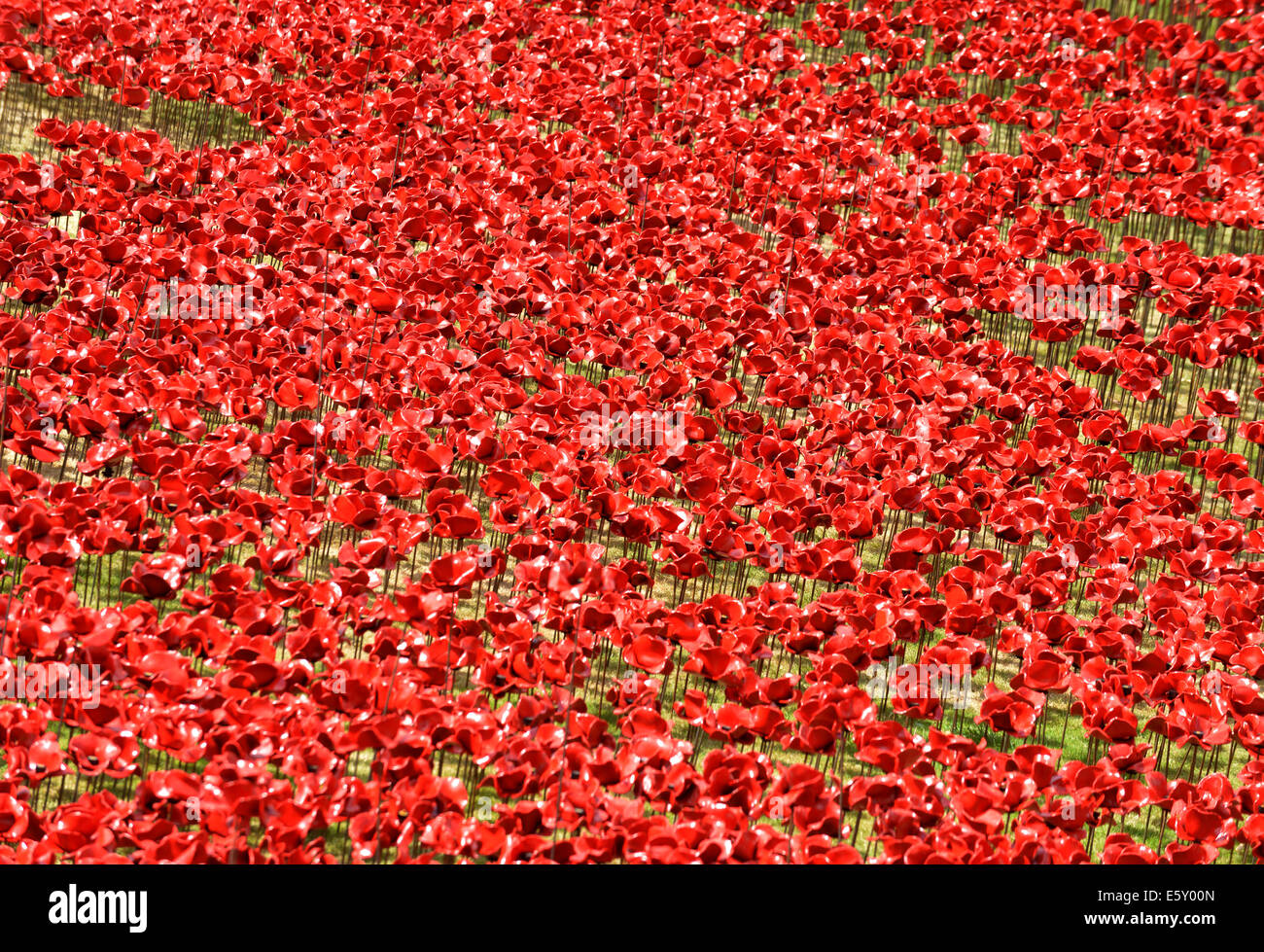 Bloodswept Länder und Meere rot, Tausende von Keramik Mohnblumen Künstlers Paul Cummins in den Tower von London WW1-Denkmal Stockfoto