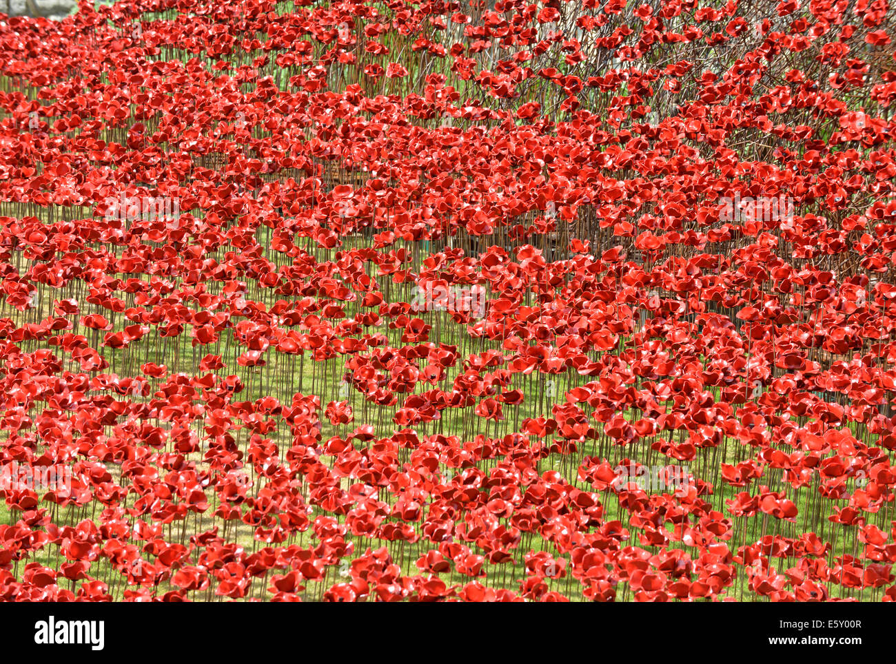 Bloodswept Länder und Meere rot, Tausende von Keramik Mohnblumen Künstlers Paul Cummins in den Tower von London WW1-Denkmal Stockfoto