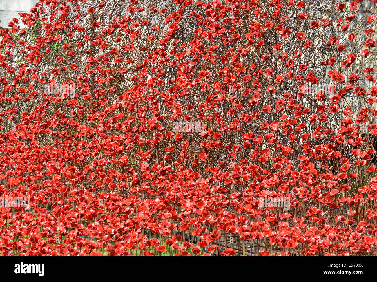 Bloodswept Länder und Meere rot, Tausende von Keramik Mohnblumen Künstlers Paul Cummins in den Tower von London WW1-Denkmal Stockfoto
