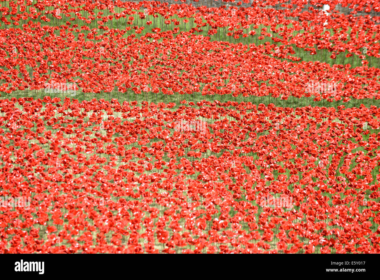 Bloodswept Länder und Meere rot, Tausende von Keramik Mohnblumen Künstlers Paul Cummins in den Tower von London WW1-Denkmal Stockfoto
