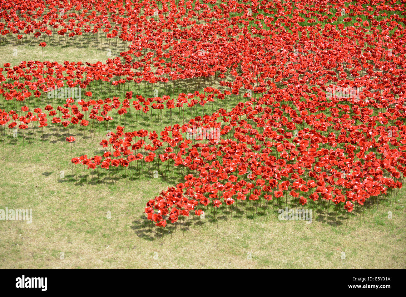 Bloodswept Länder und Meere rot, Tausende von Keramik Mohnblumen Künstlers Paul Cummins in den Tower von London WW1-Denkmal Stockfoto