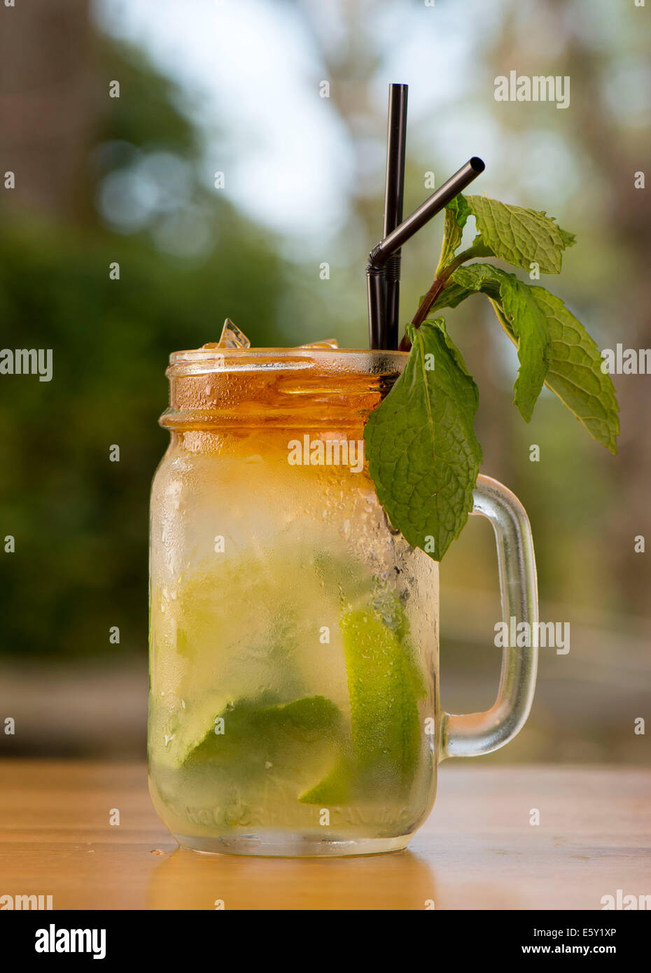 Ein Mojito cocktail in ein Glas mit einem grünen Hintergrund. Stockfoto