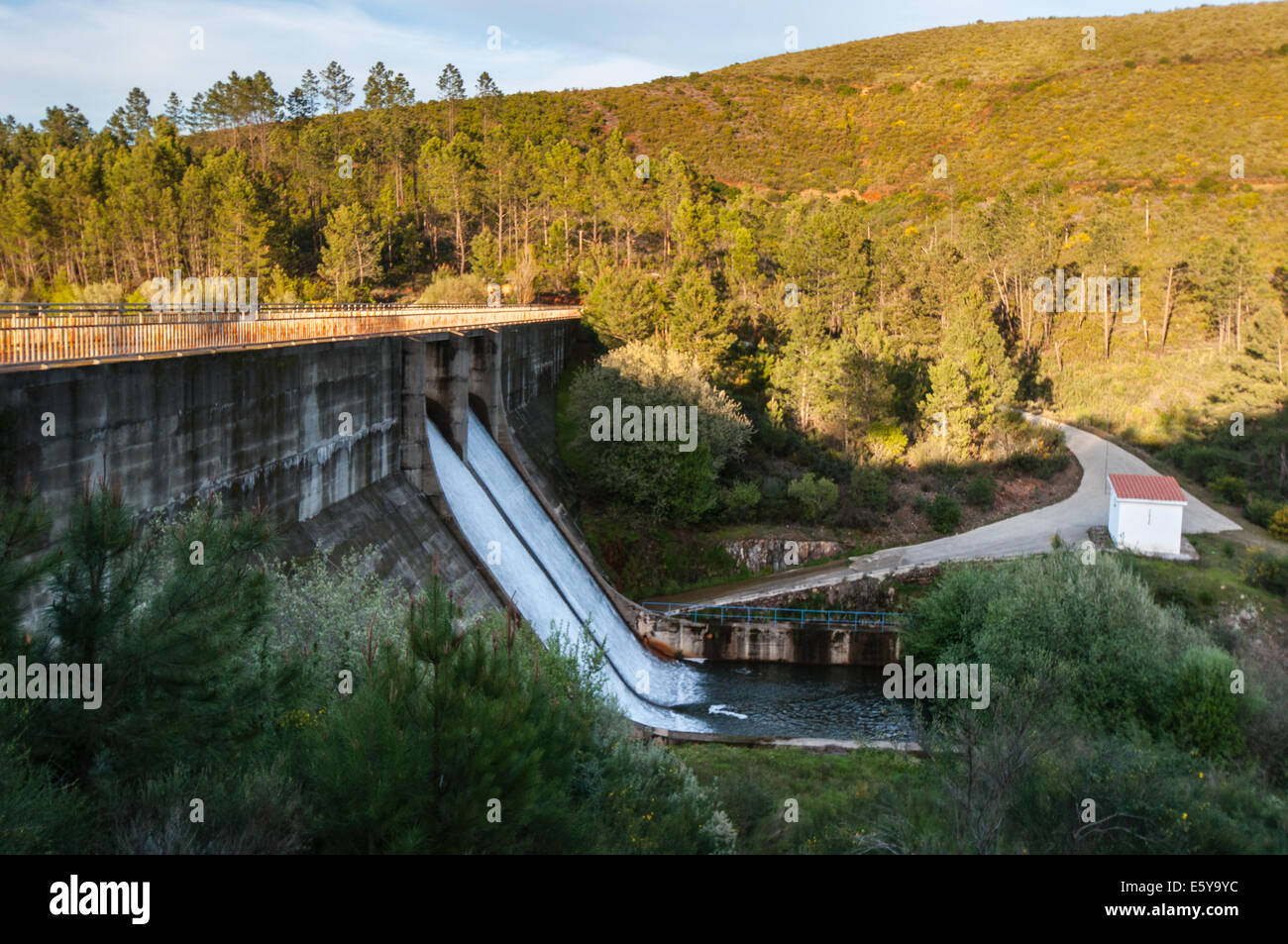 Damm, die Freisetzung von Wasser Stockfoto