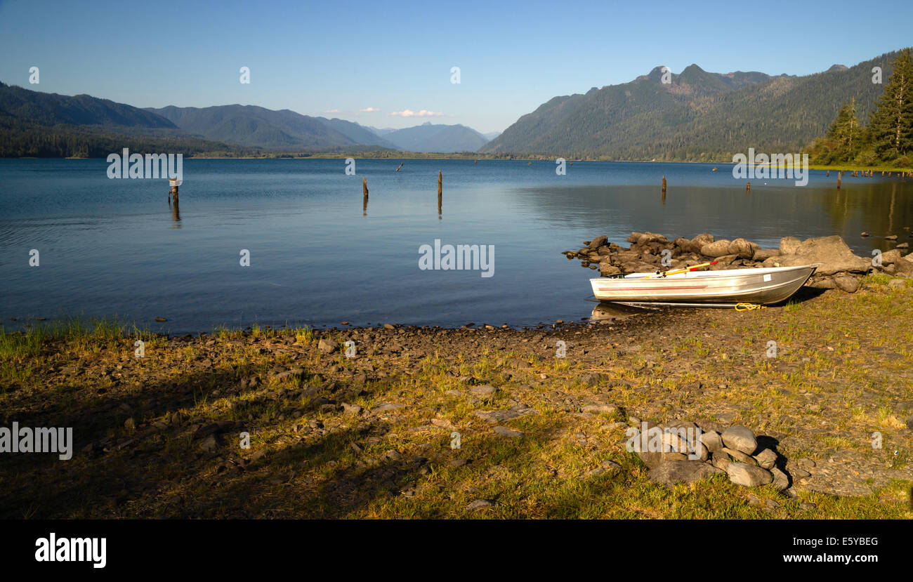 Ruhige Solutude ist eure Belohnung auf die Sjores des Lake Quinault Stockfoto