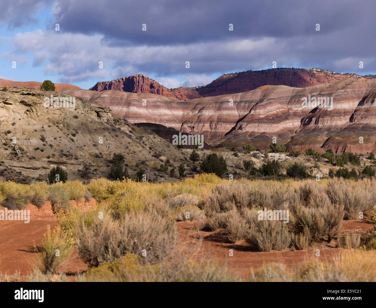 Paria Canyon, Paria, Kane County, Utah, USA Stockfoto