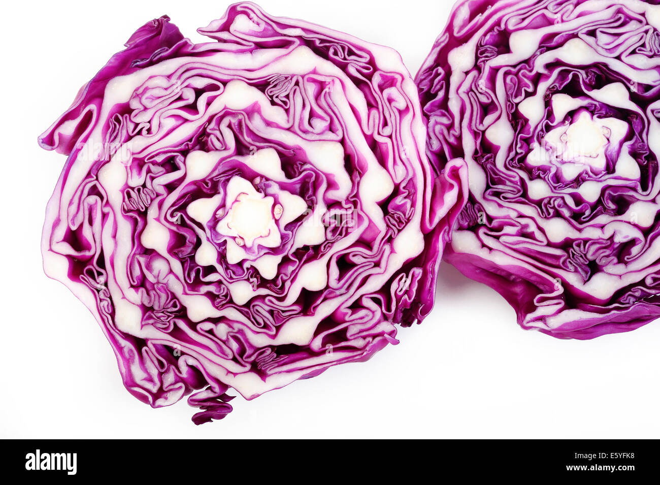 Rotkohl halbieren auf weißem Hintergrund Stockfoto