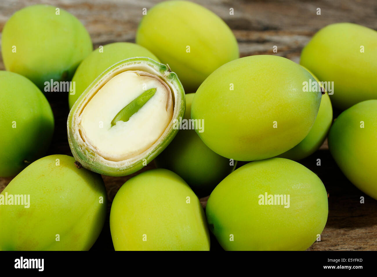 grüne Lotossamen Stockfoto