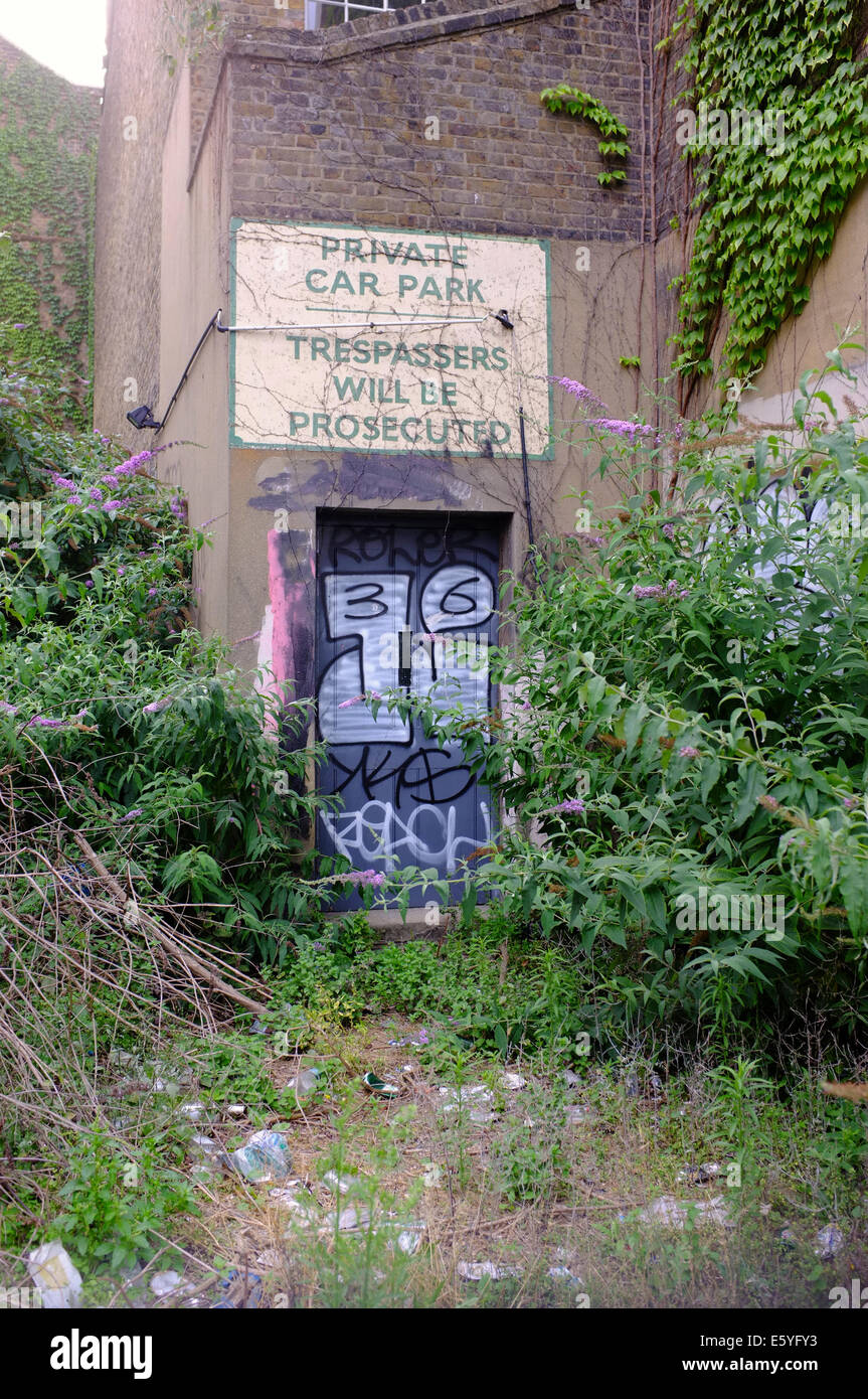 Verlassene Privatparkplatz hinter Gebäude, Natur & Graffiti an Tür übernommen Stockfoto