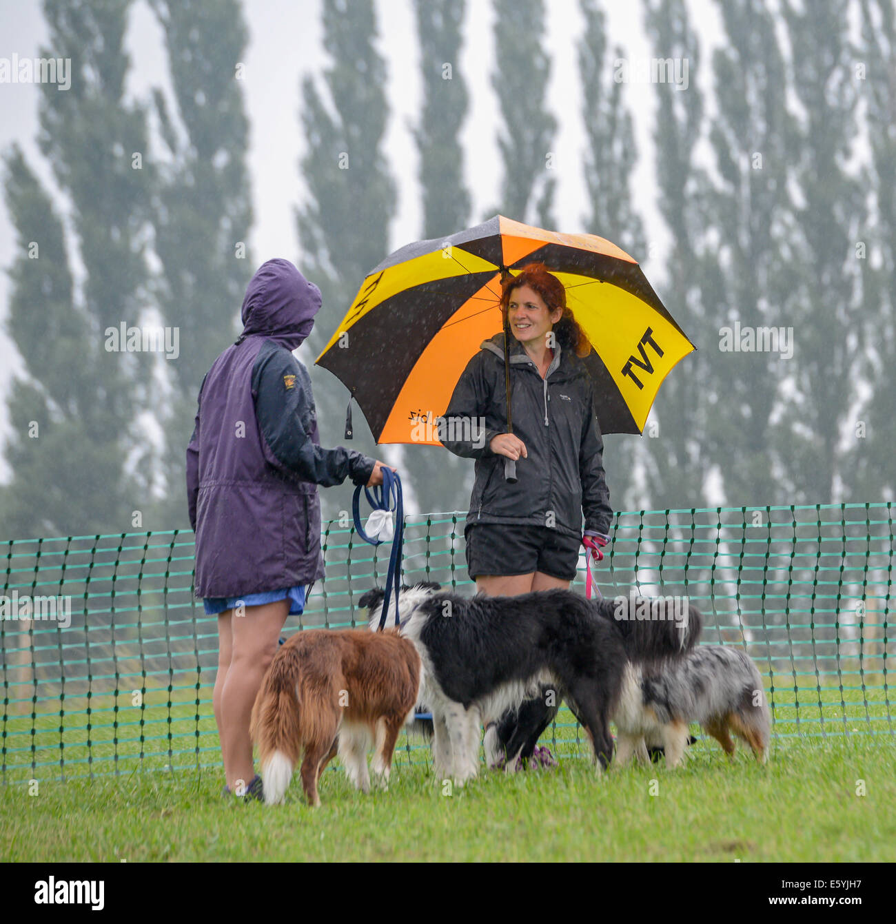 Rockingham Castle, UK. 8. August 2014. Das Gießen regen in Rockingham Castle, England, am Abend des Freitag 8. august 2014, Teilnehmer warten (organisiert vom Kennel Club) versucht, den Guinness-Weltrekord für die größte gleichzeitige Hund Aufenthalt zu schlagen. Ca. 220 Hunden besucht, und so der Rekord von 627 bleibt ungeschlagen. Bildnachweis: Vermischtes/Alamy Live News Stockfoto