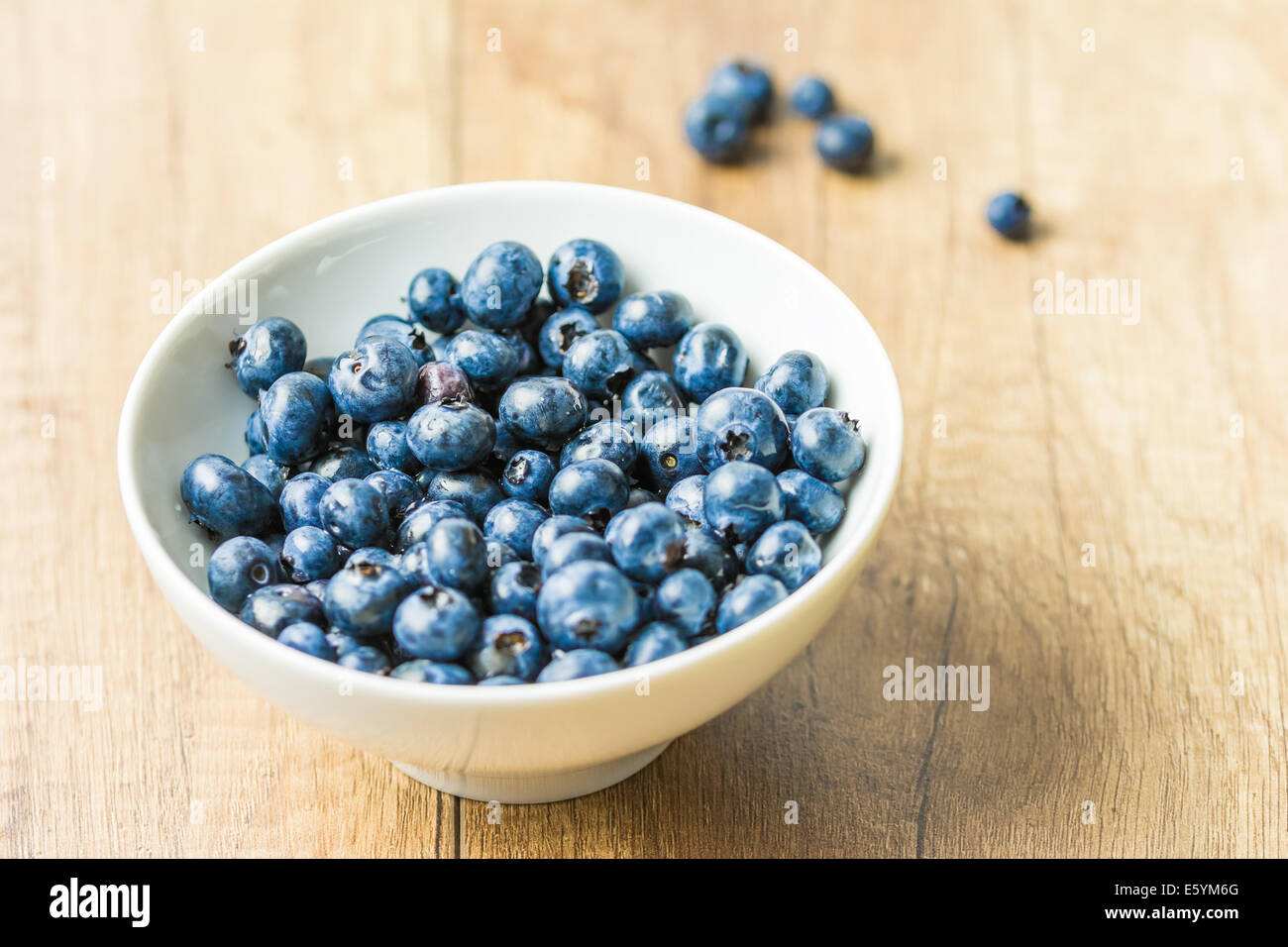 Frische Heidelbeeren In Schüssel weiß Stockfoto