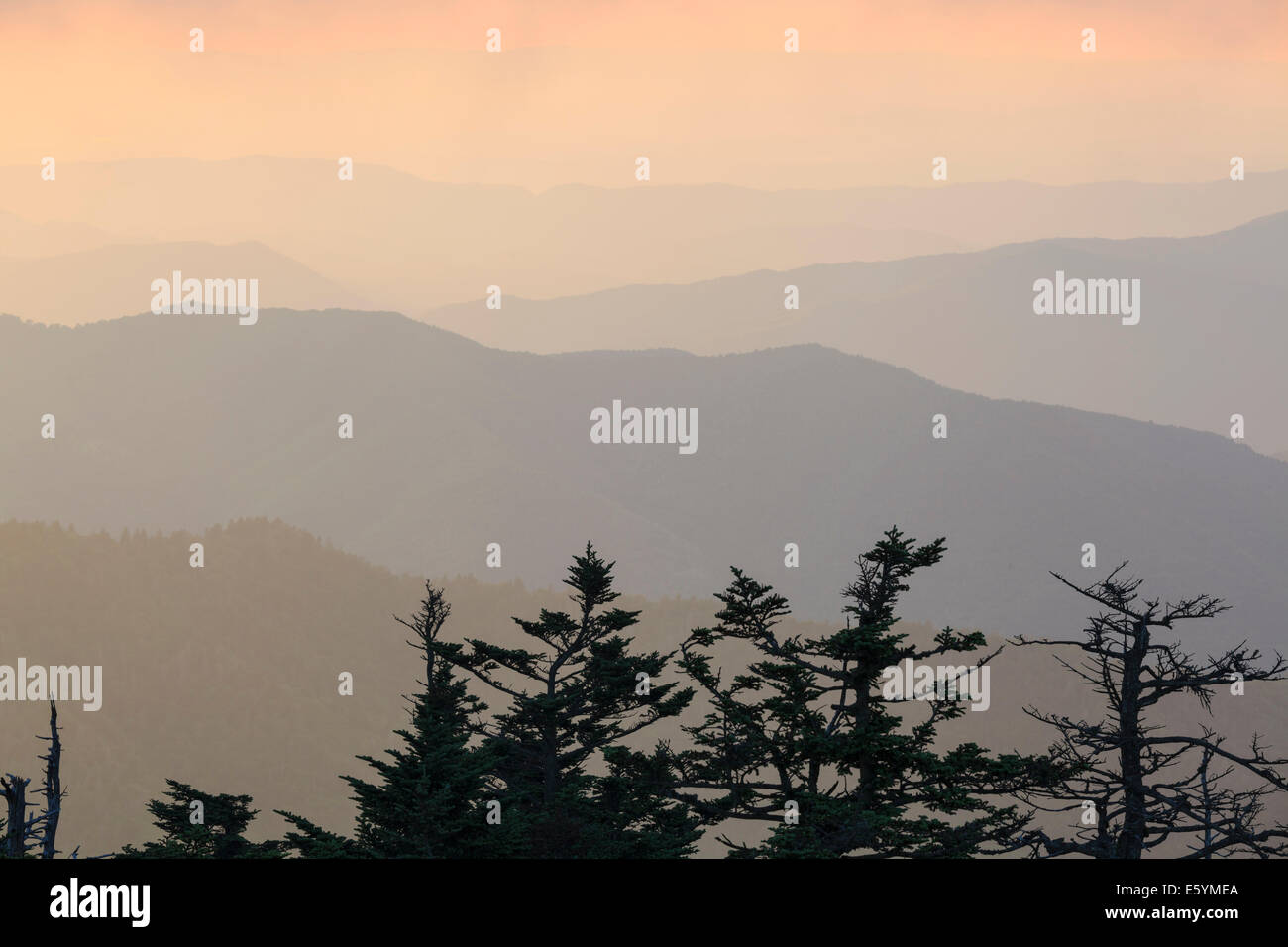 Blick vom Aussichtsturm Clingmans Dome, Great Smoky Mountains Nationalpark Stockfoto