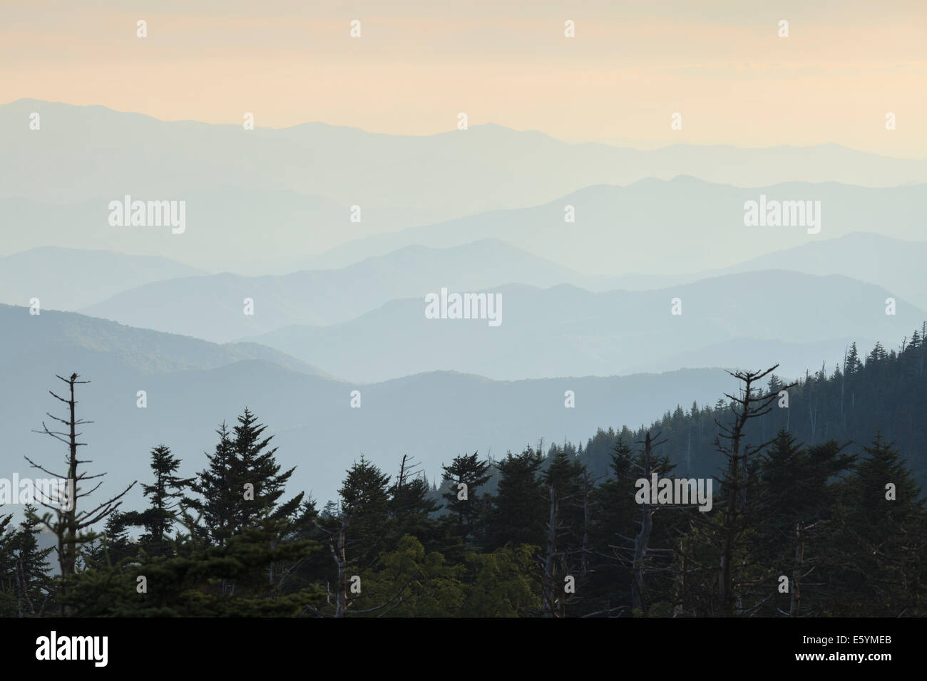 Blick vom Clingmans Dome, Great Smoky Mountains Nationalpark Stockfoto