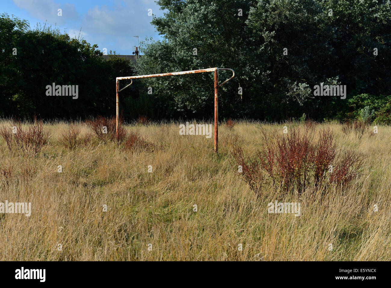 Überwucherte Fußballplatz, Hastings, England, Großbritannien Stockfoto