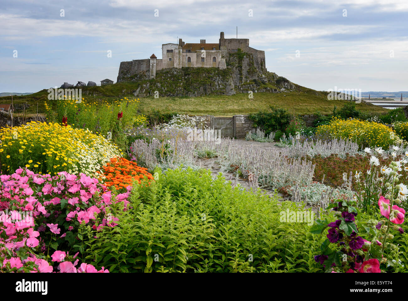 Gertrude Jekyll Garten auf Lindisfarne Stockfoto