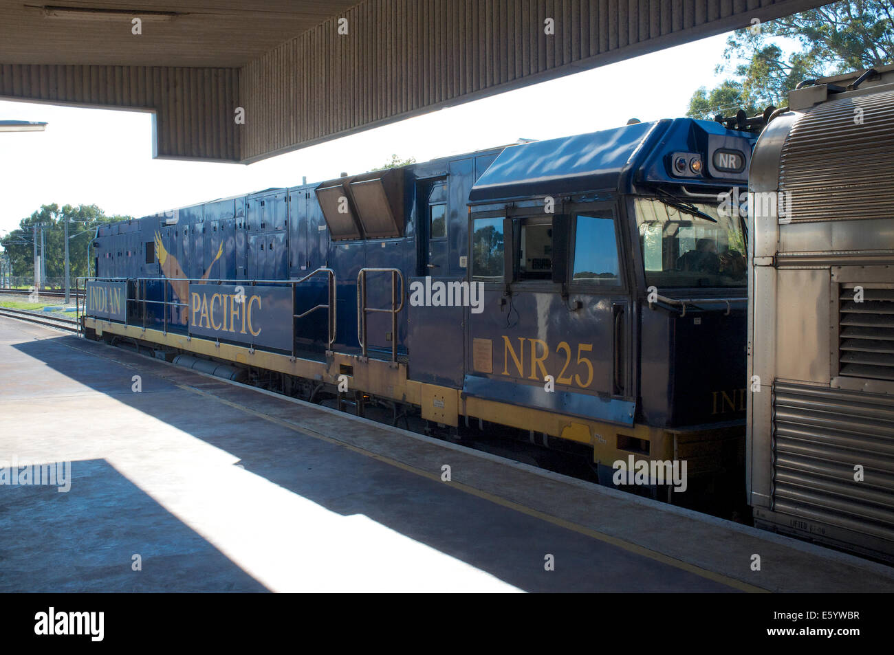 Der Indian Pacific Zug am Ostbahnhof Perth im August 2014 Stockfoto