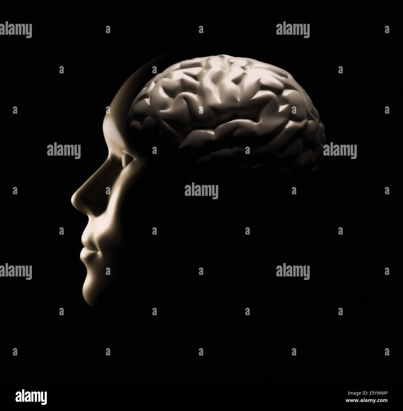 Menschliche Gehirn - dies ist ein 3d render Abbildung Stockfoto