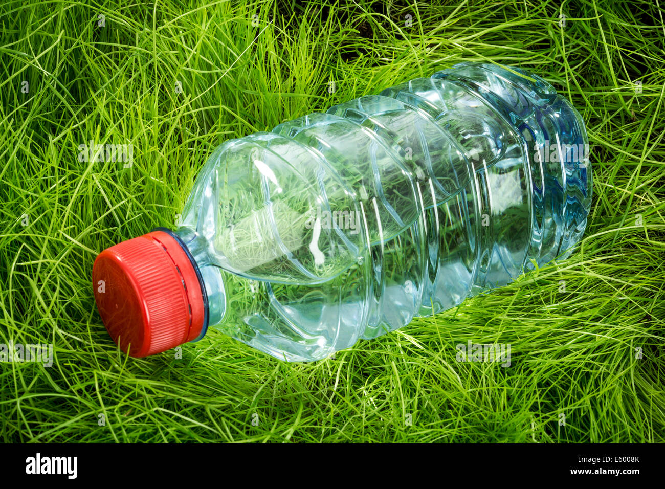 Flasche Wasser auf dem grünen Rasen. Stockfoto