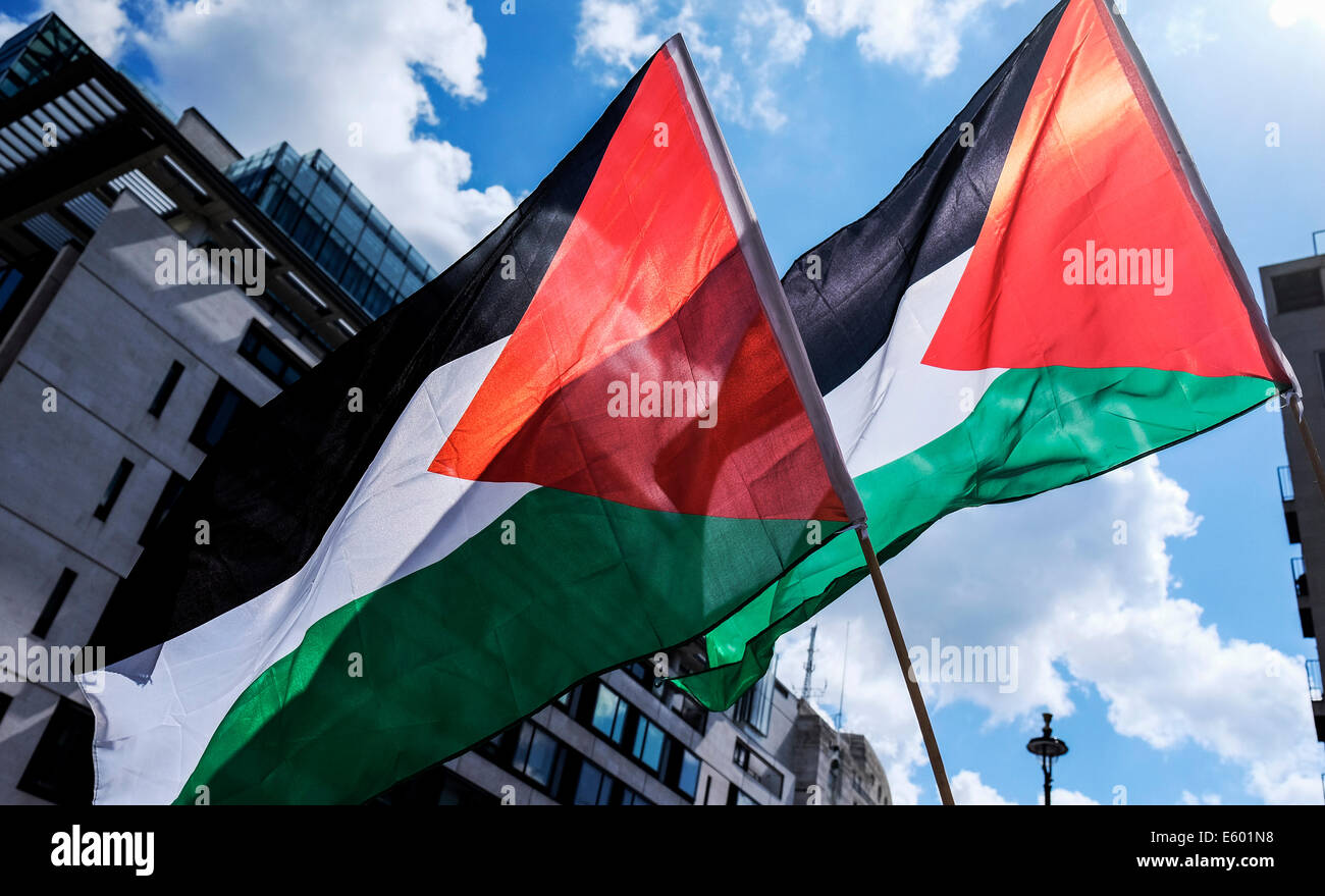 Portland Place, London, 9. August 2014.  Palästinensische Fahnen statt empor, während einer Protestaktion gegen die Gewalt in Gaza.    Fotograf;  Gordon Scammell/Alamy Live-Nachrichten Stockfoto