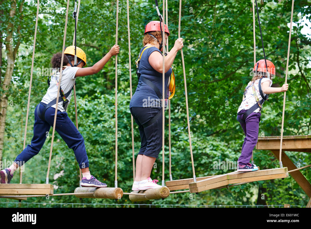 Aerial Baum Trekking Center Parcs Sherwood Forest UK Stockfoto