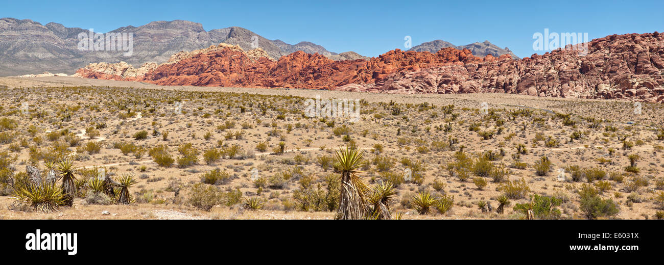 Red Rock Canyon Panorama Las Vegas Nevada. Stockfoto