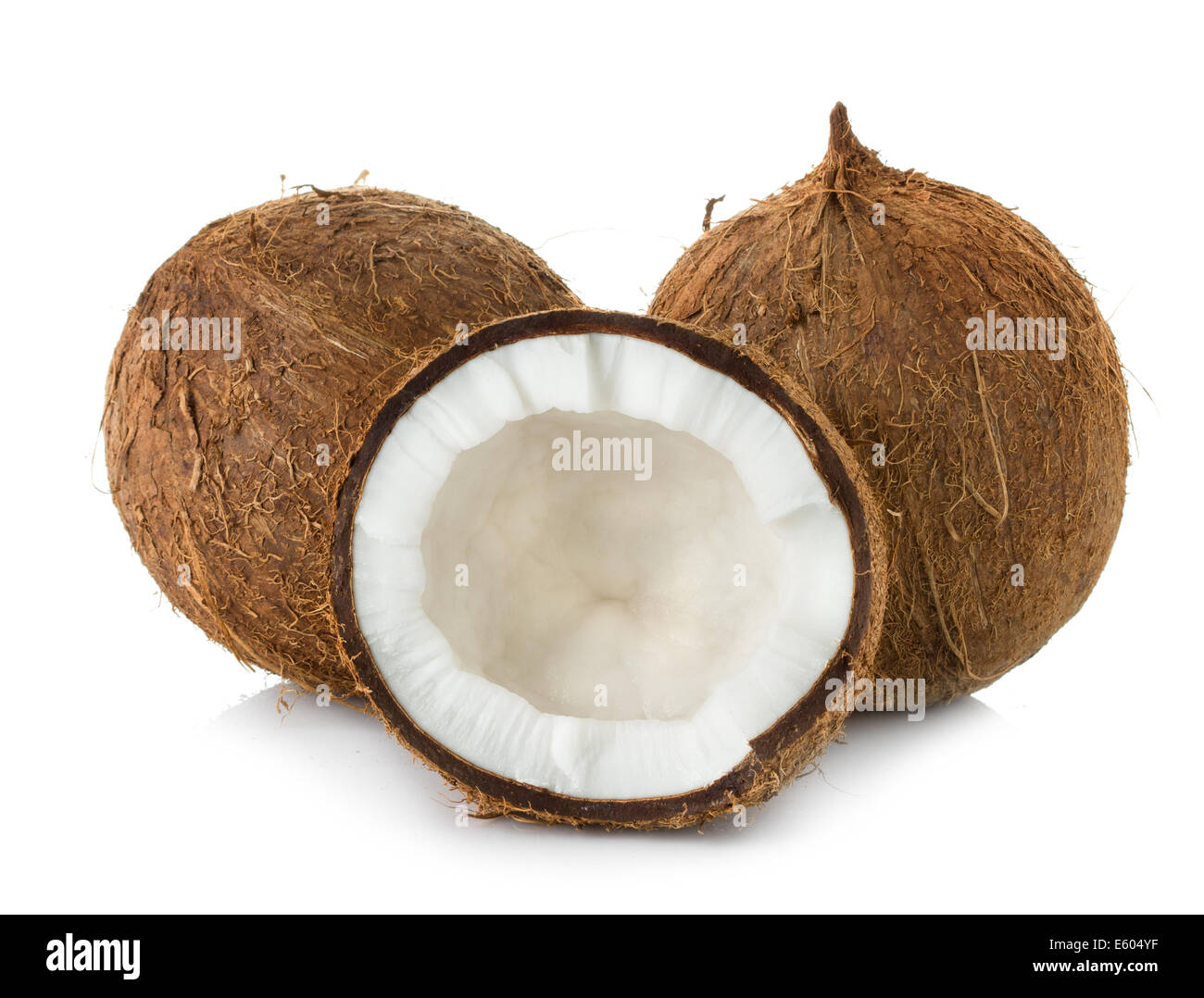 Kokosnuss isoliert auf weißem Hintergrund Stockfoto