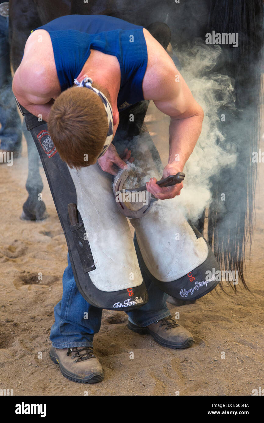 Hufschmied passend Blitzschuh zu Pferd beim konkurrieren in der letzten Runde des Wettbewerbs der Weltmeisterschaften Schmiede. Stockfoto