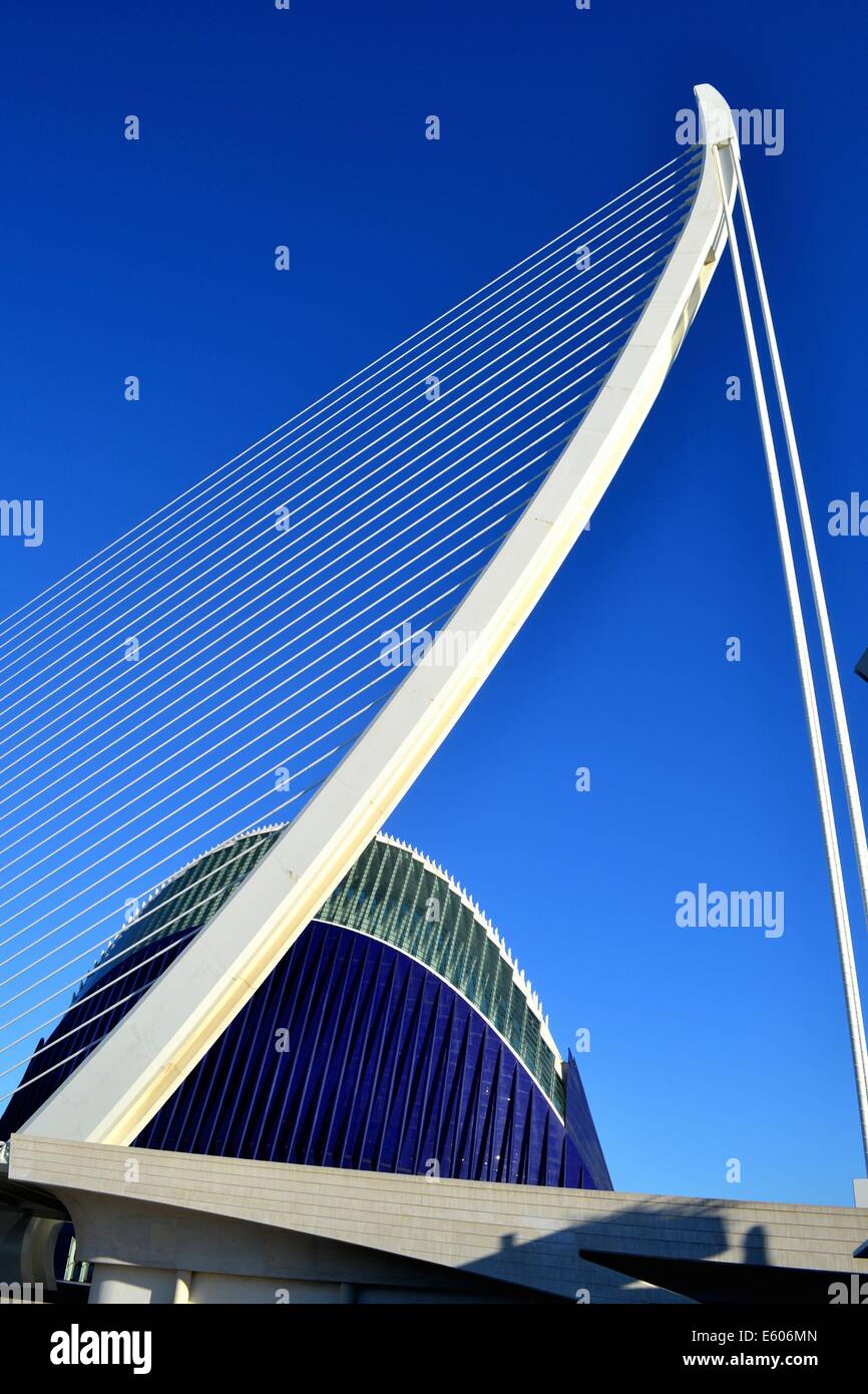 Struktur im Museo de Las Ciencias Príncipe Felipe in Valencia, Spanien Stockfoto Struktur im Museo de Las Ciencias Príncipe Felipe in Valencia, Spanien Stockfoto