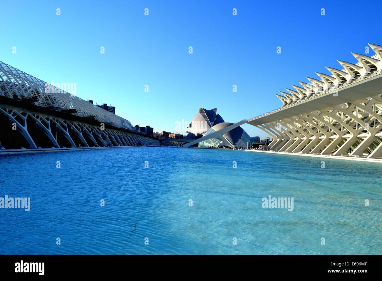 Museo de Las Ciencias Príncipe Felipe in Valencia Stockfoto Museo de Las Ciencias Príncipe Felipe in Valencia Stockfoto